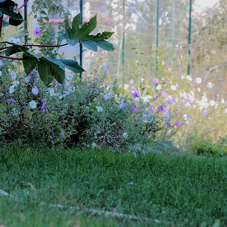 Casa de hóspedes Tangra