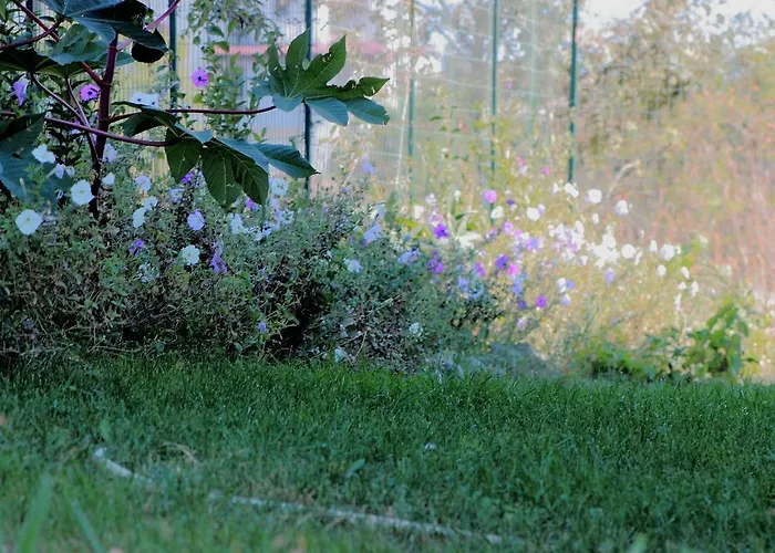 Maison d'hôtes Tangra