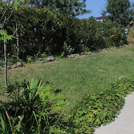 Tangra 3* أرابيا